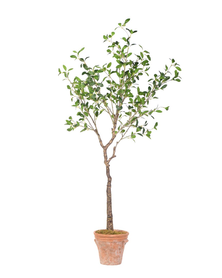 D&w Silks 60 Olive Tree In Terra Cotta Planter In Green