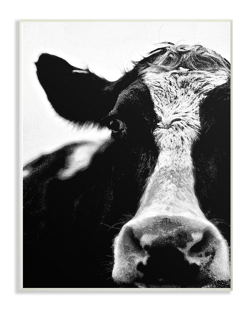Stupell Cow Black And White Close Up By Lettered And Lined