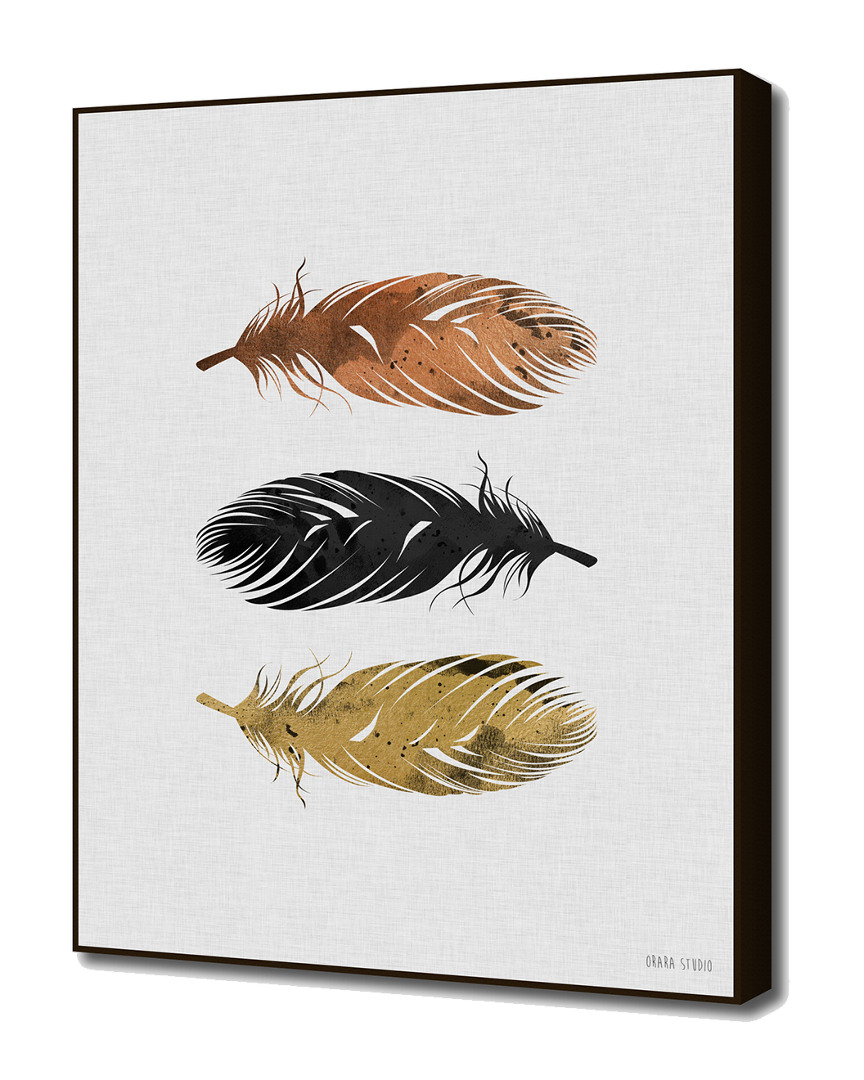 Curioos Feathers By Orara Studio