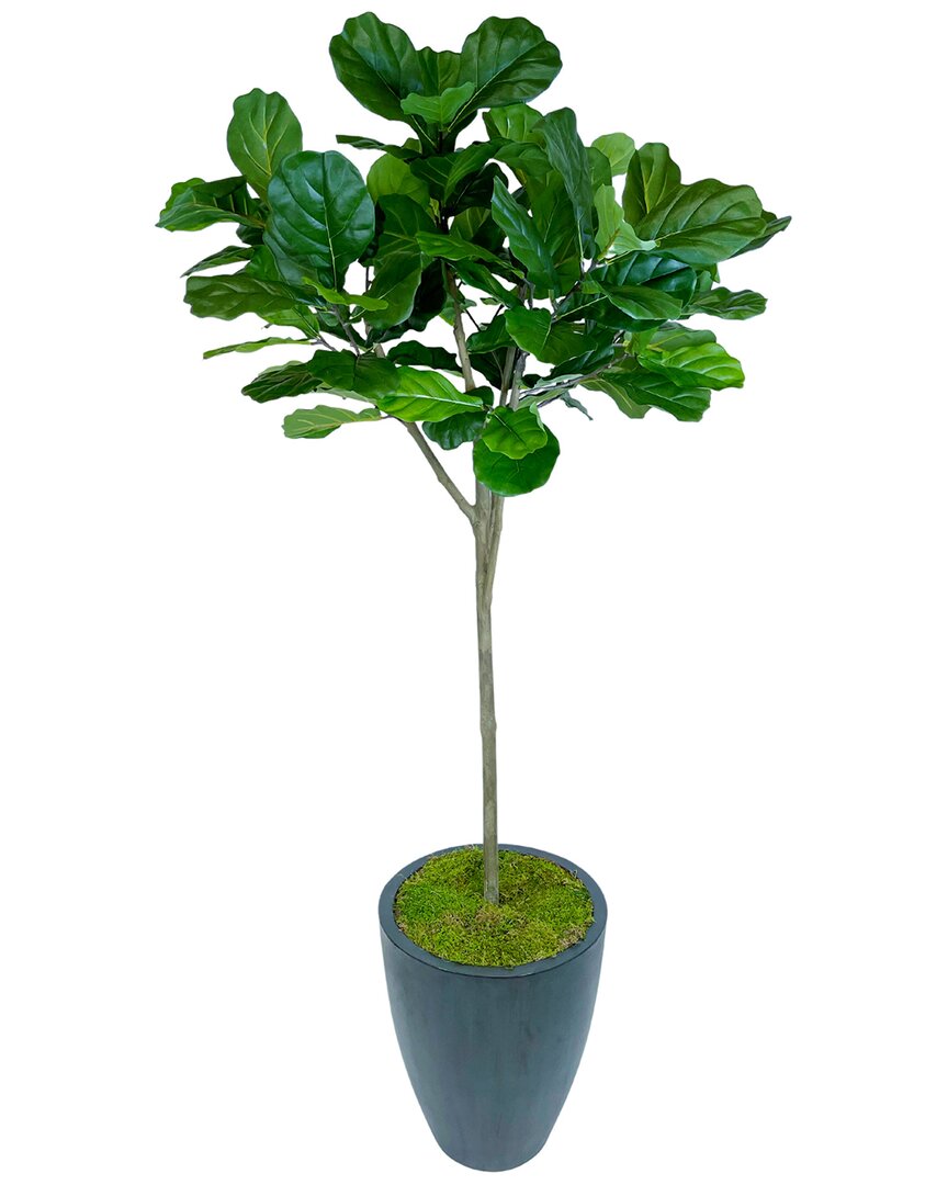 Creative Displays 7' Fiddle Leaf Tree In A Grey Fiberstone Pot In Green