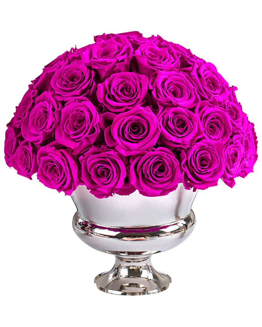 Rose Box Nyc Luxury Premium Half Ball Of 55 Roses