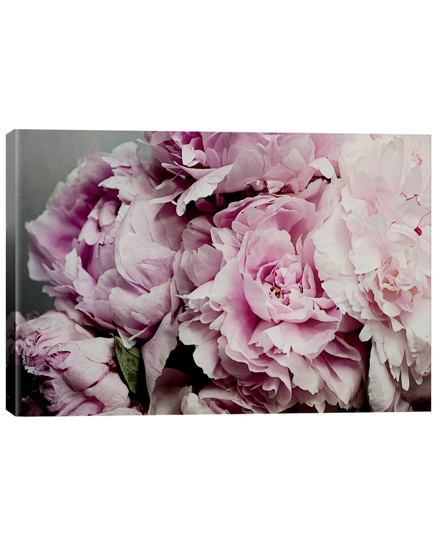 Icanvas Peonies Galore Ii Print On Acrylic Glass By Elizabeth Urquhart