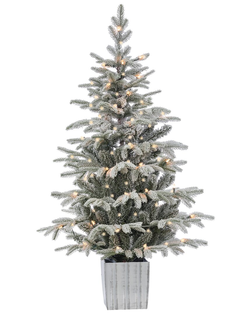 Sterling Tree Company 4.5ft Potted Lightly Flocked Natural Cut Iceland Fir With 70 Clear Lights In Green