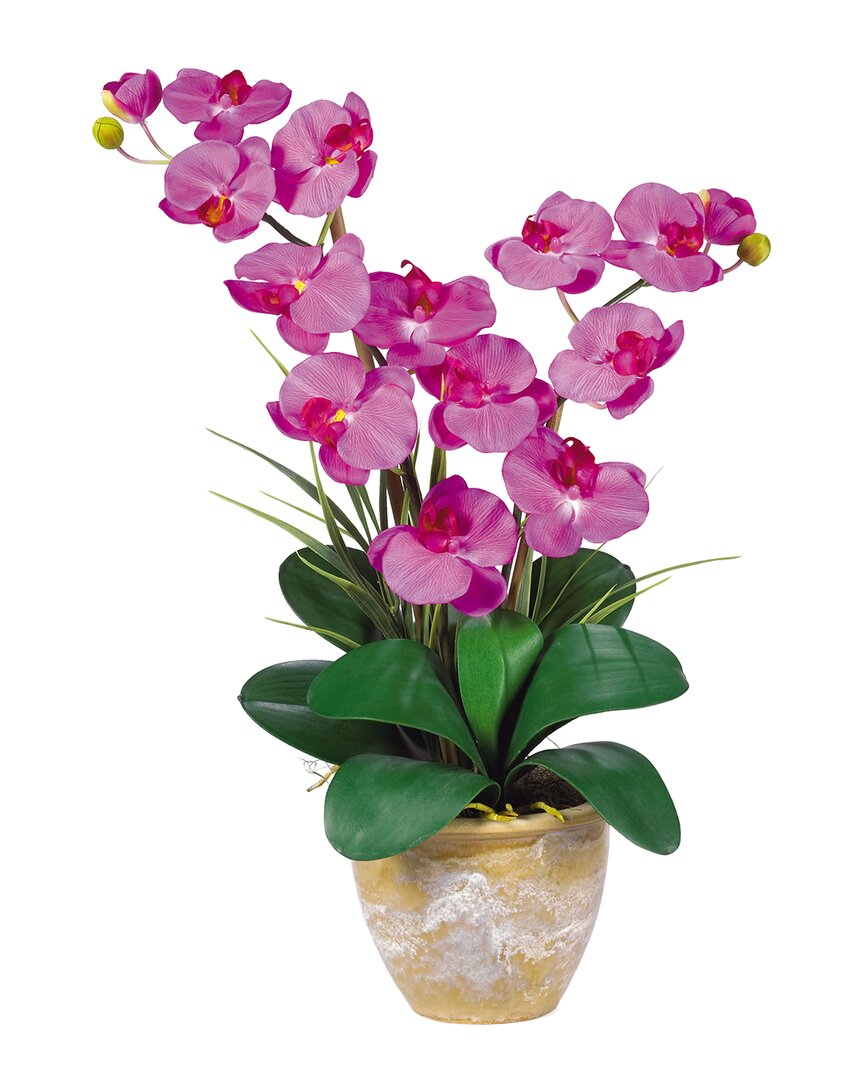 NEARLY NATURAL NEARLY NATURAL DOUBLE PHALAENOPSIS SILK ORCHID FLOWER ARRANGEMENT
