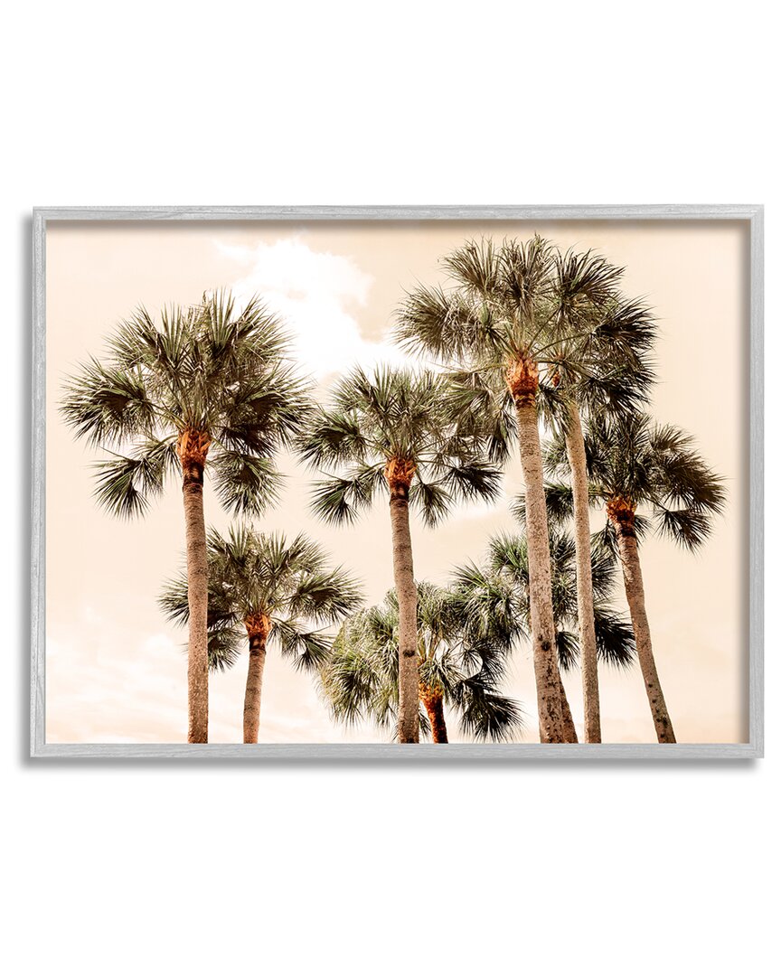 Stupell Summer Palm Trees Sky Framed Giclee Wall Art By Natalie Carpentieri
