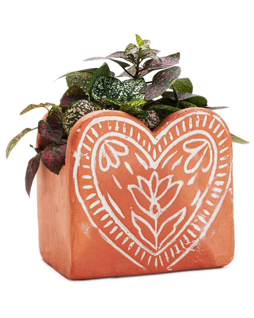 Matr Boomie Vasanta Heart Planter With Drainage