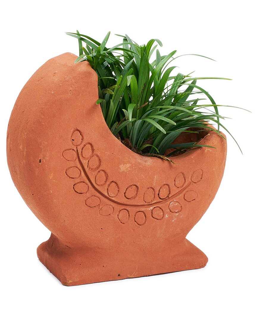 Matr Boomie Rakshana Crescent Moon Plant Pot
