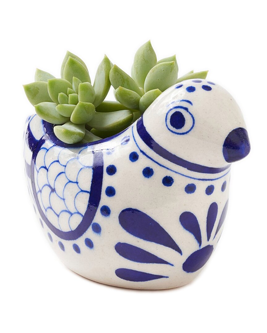 Matr Boomie Lalita Bird Succulent Planter