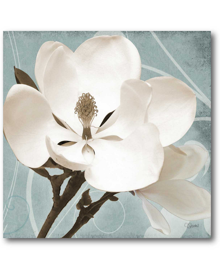 Courtside Market Wall Decor Magnolia Blue I Canvas Wall Art In Multicolor