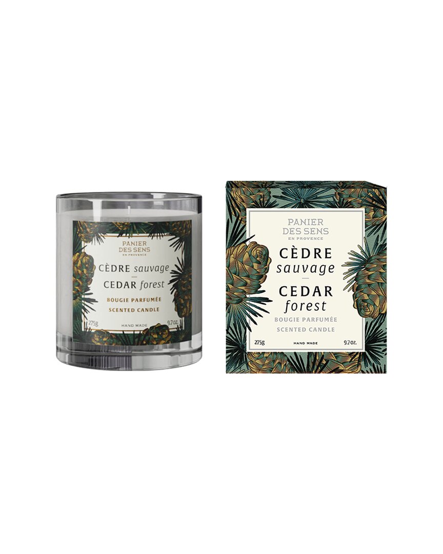 Panier Des Sens Cedar Forest Scented Candle 9.7oz In Green