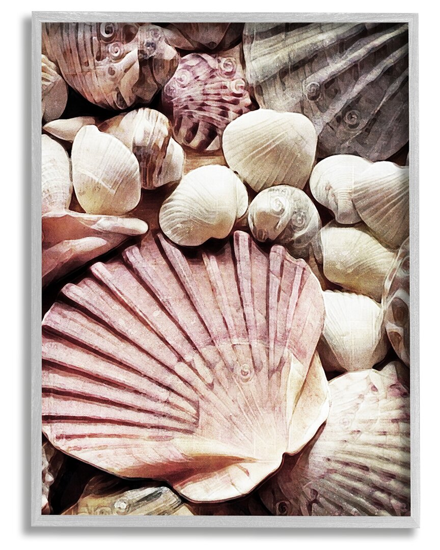 Shop Stupell Stacked Coastal Seashells Framed Giclee Wall Art By Ashley Aldridge