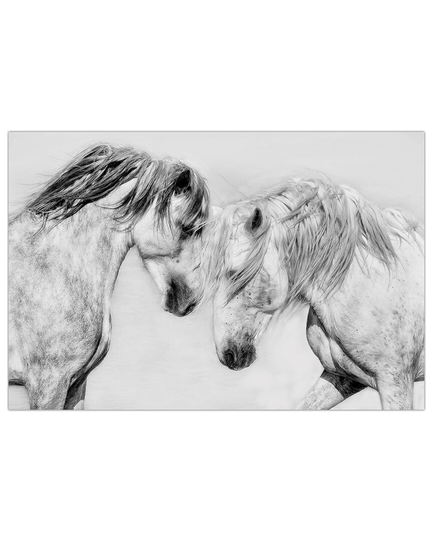 Empire Art Direct Caballo Blanco Equine Frameless Free Floating Tempered Glass Panel Graphic Wall Art In Gray