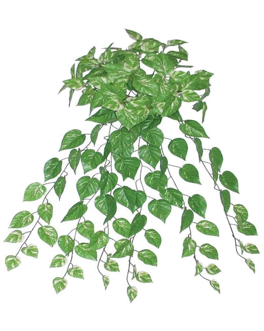 Shop Northlight Discontinued Artificial Pothos Hanging Floral Bush In Green