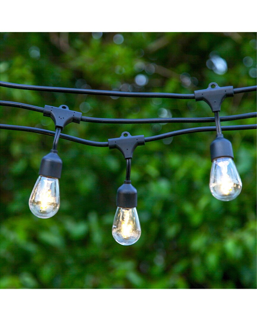 Brightech Ambience Pro 27' 15 Bulb Led Solar Powered Hanging String Lights In Black