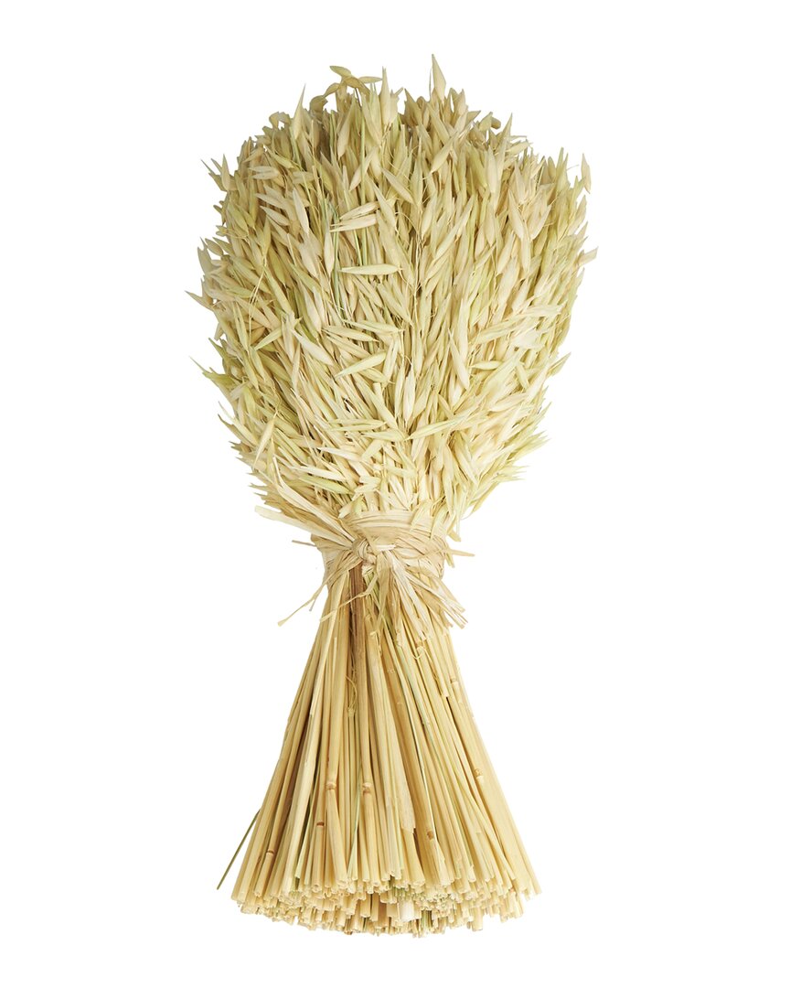 Peyton Lane Grass Beige Dried Plant Handmade Wheat Stalk Bundle Natural Foliage In Beige