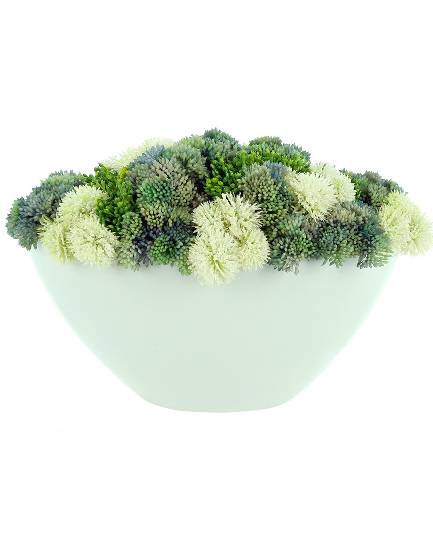 Creative Displays Sedum Arranged In Ceramic Pot In Green