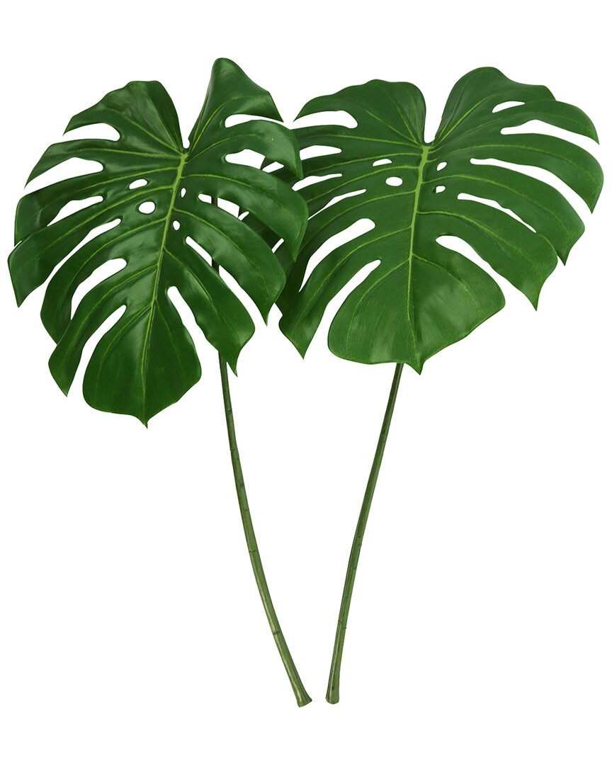 Creative Displays Green Philodendron Stem In Green