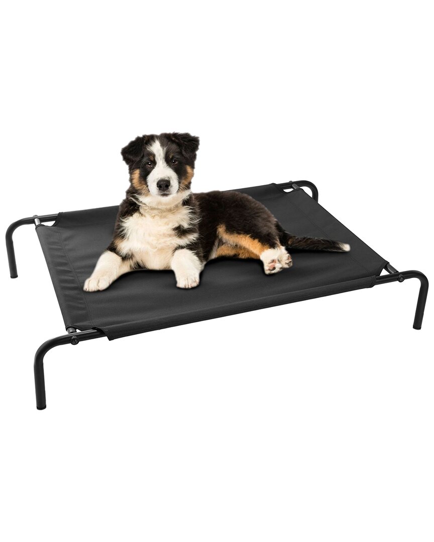 Shop Fresh Fab Finds Elevated Pet Bed In Black