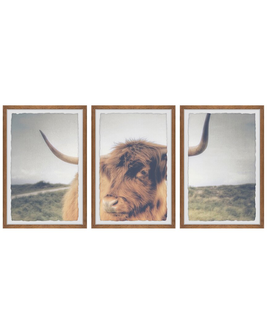Marmont Hill Cow's Eye View Triptych In Multicolor