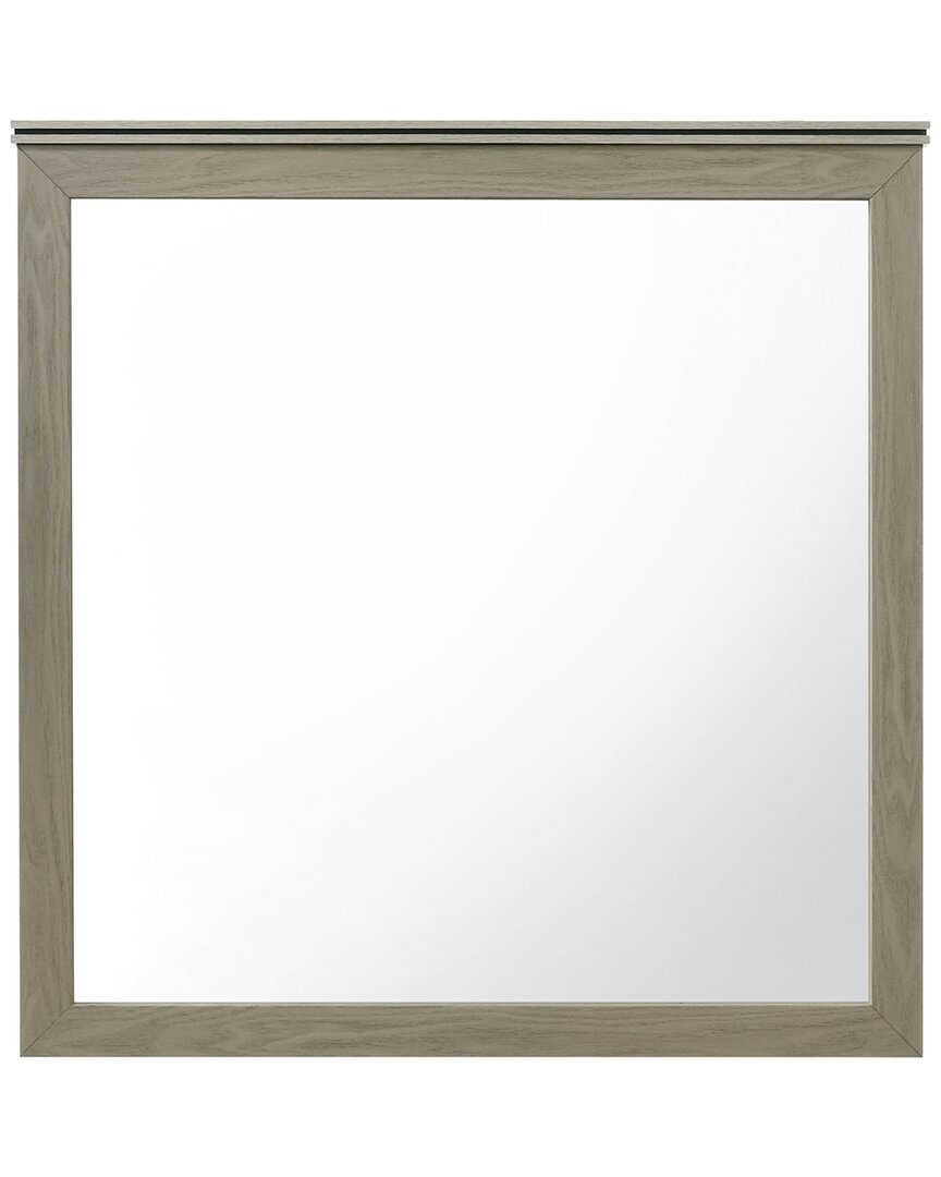 Acme Furniture Joanna Mirror In Multi
