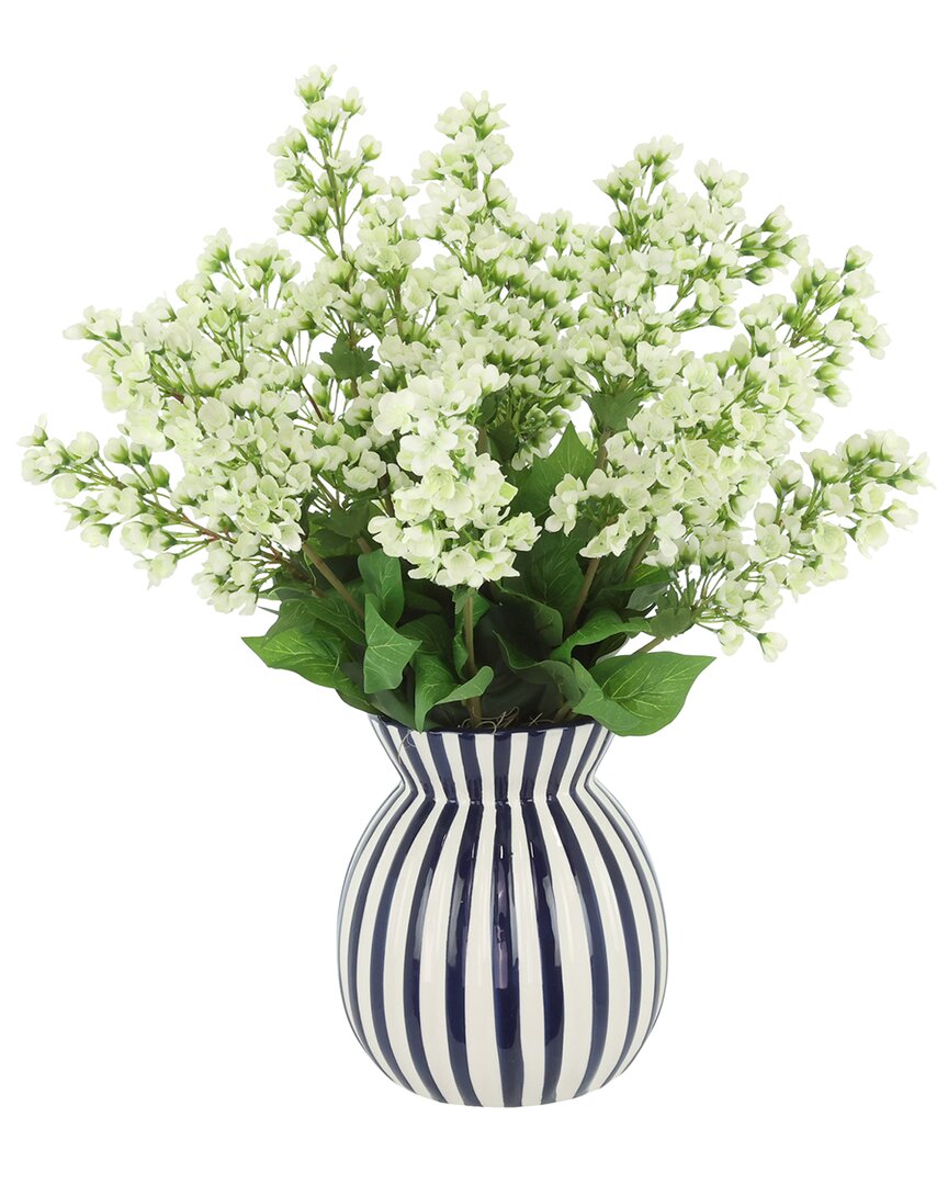 Creative Displays Bouvardia Arranged In Decorative