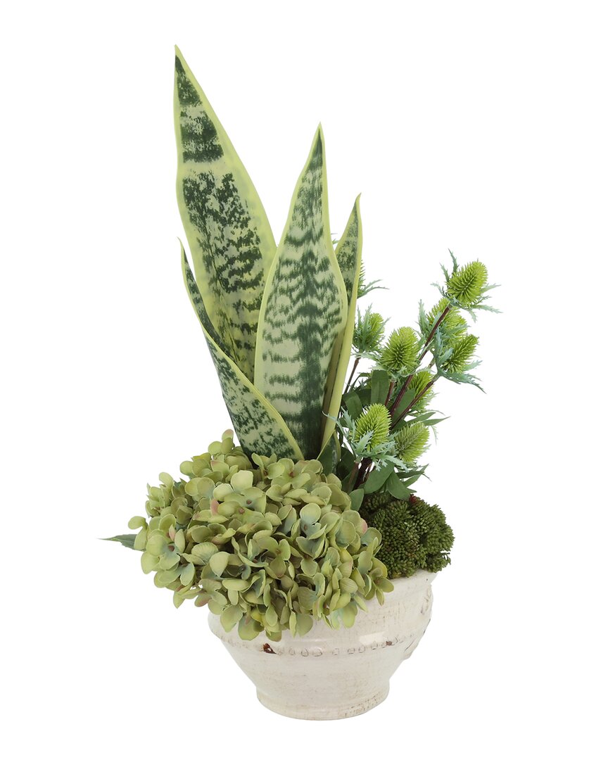 Creative Displays Snake Plant In Ceramic Pot With Hydrangea & Thistle In Green