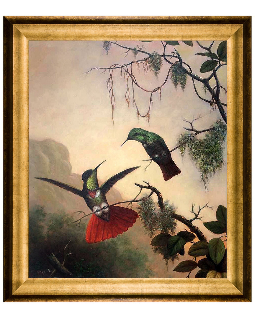 Museum Masters Two Hooded Visorbearer Hummingbirds By Martin Johnson Heade