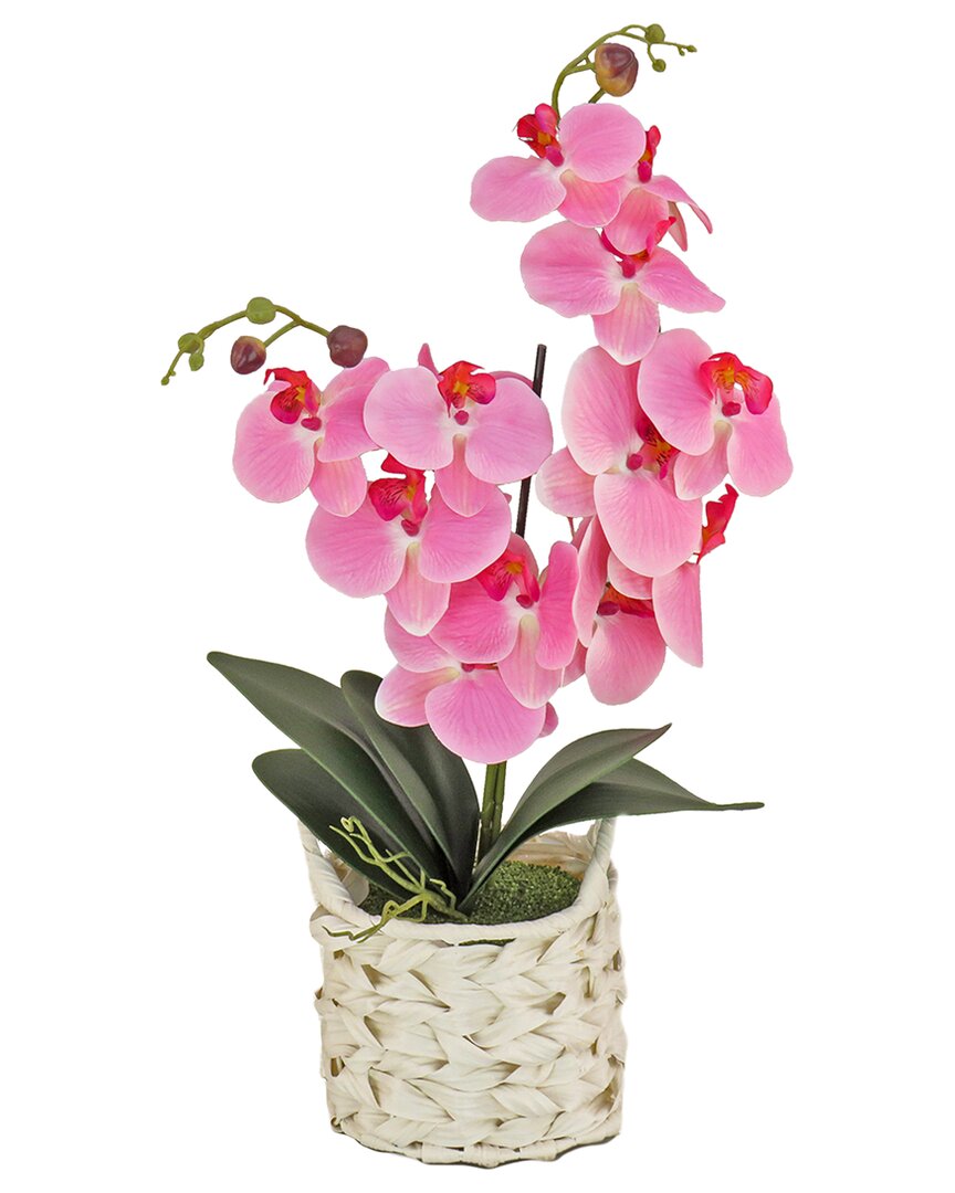National Tree Company 21in Pink Orchid Flower In White Basket In Pink