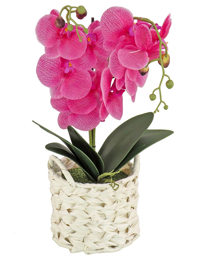 National Tree Company 21in Purple Orchid Flower In White Basket