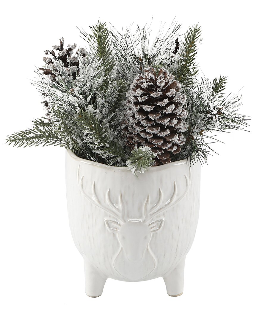 Flora Bunda Xmas Mix In 4.5in Staghead Ceramic Footed Pot In White