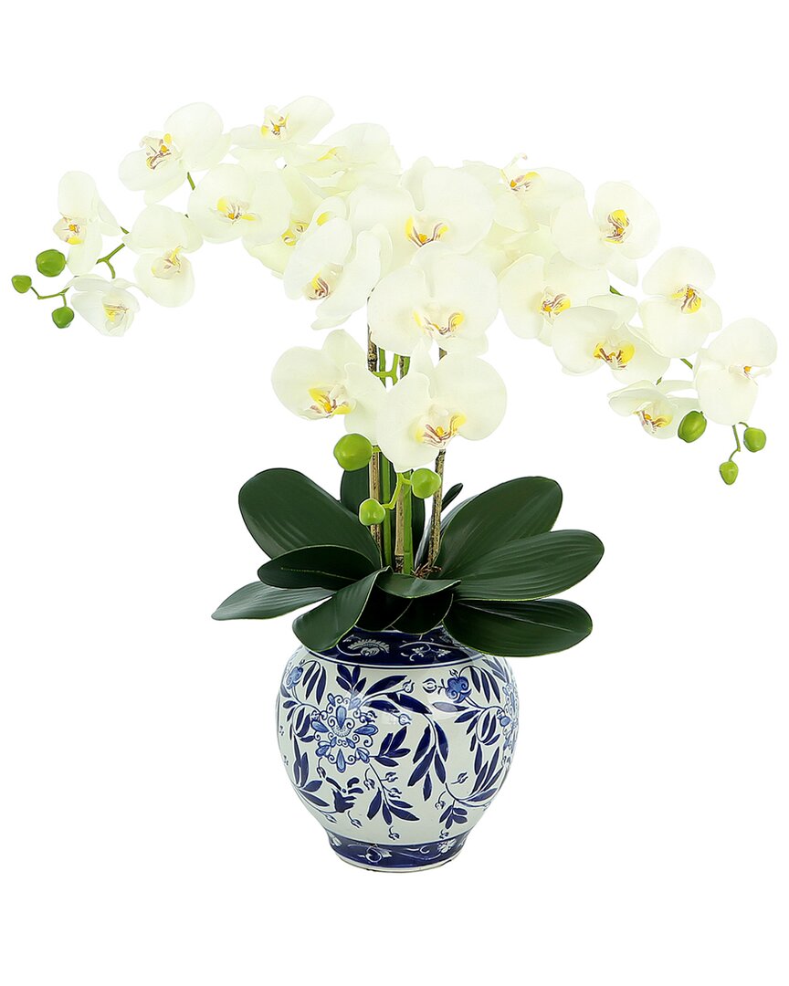 Creative Displays White Orchid Floral Arrangement
