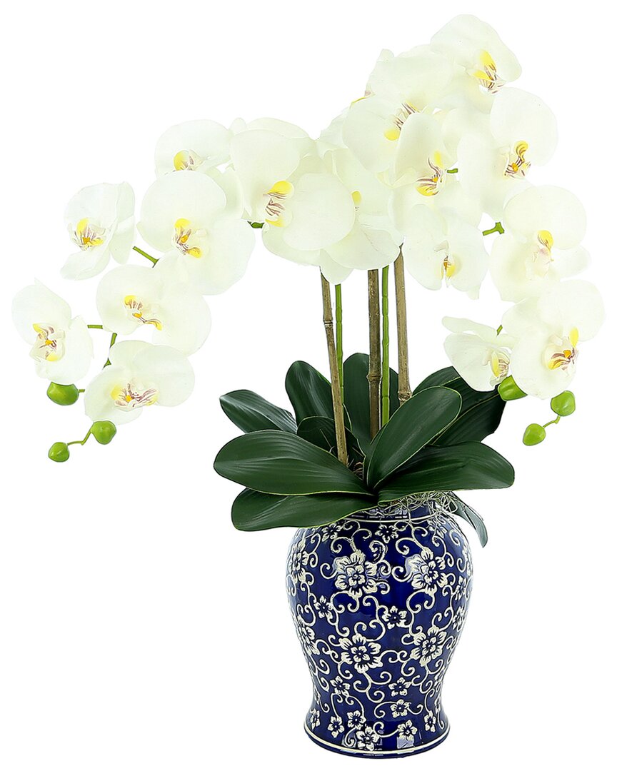 Creative Displays White Orchid Flower Arrangement