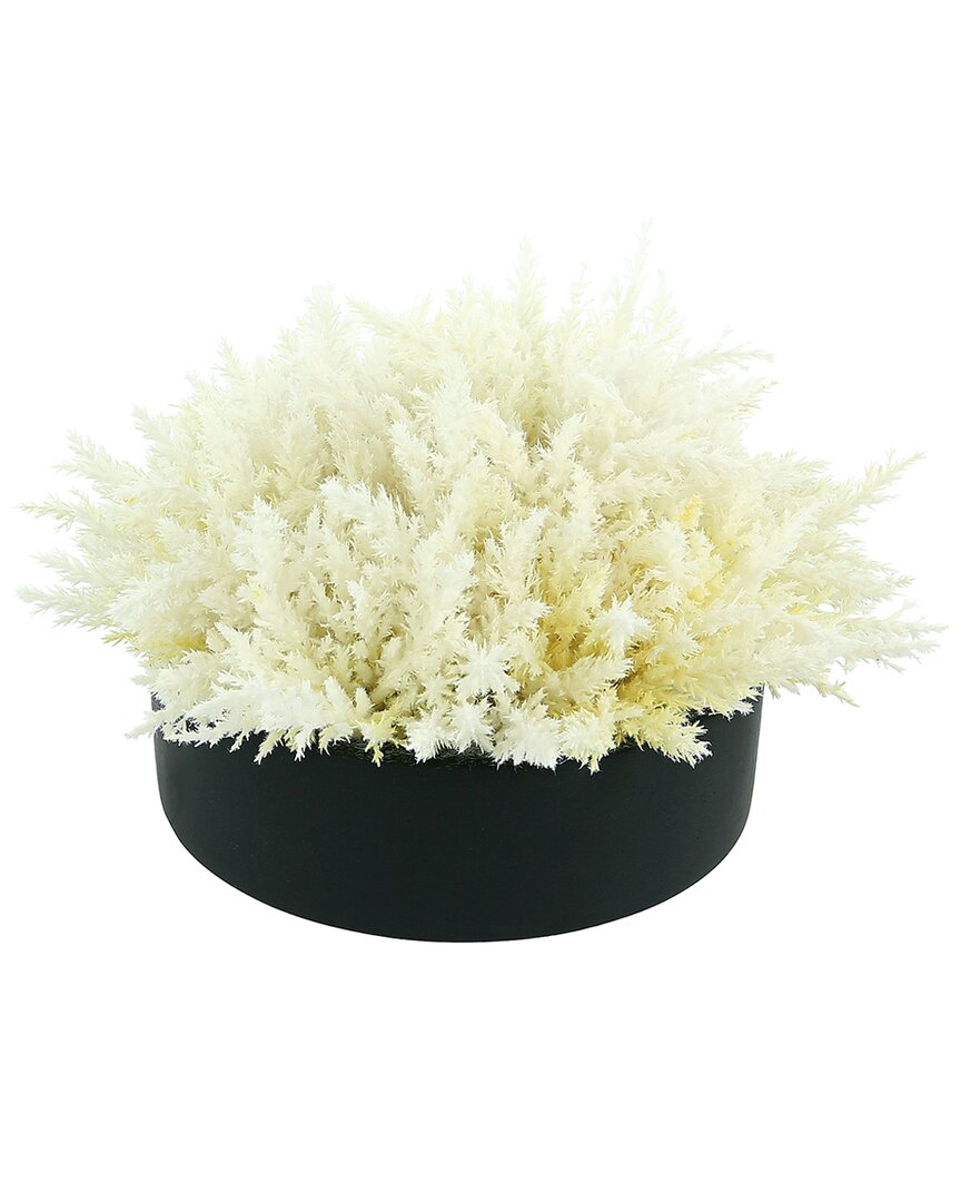 Creative Displays White Pampas Floral Arrangement