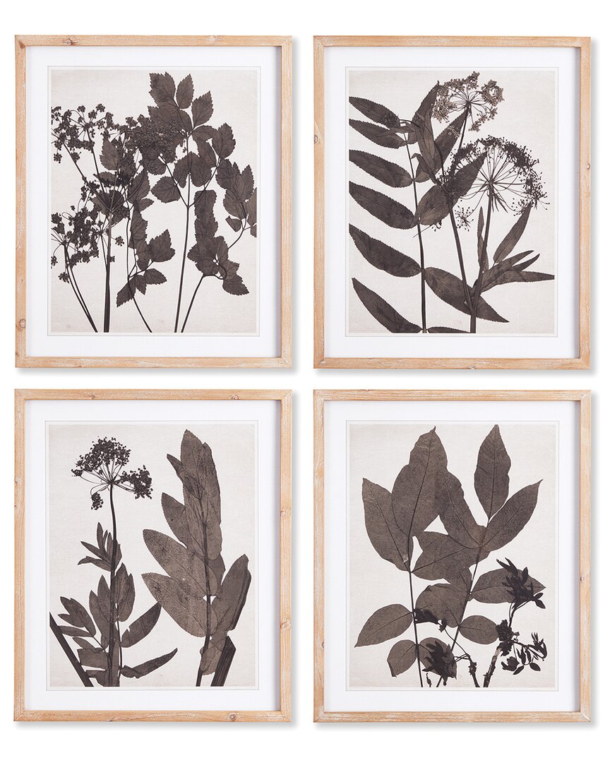 Napa Home & Garden Pressed Foliage Prints Set