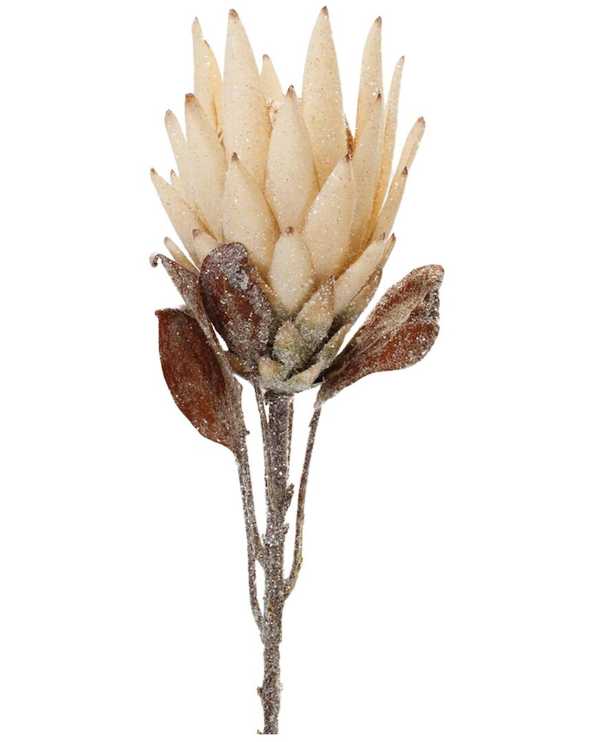Melrose International Set Of 2 Beige Protea Flower Stem In Sand