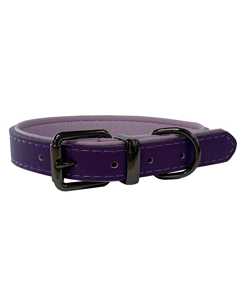 D.o.g . Luxury Collar In Purple
