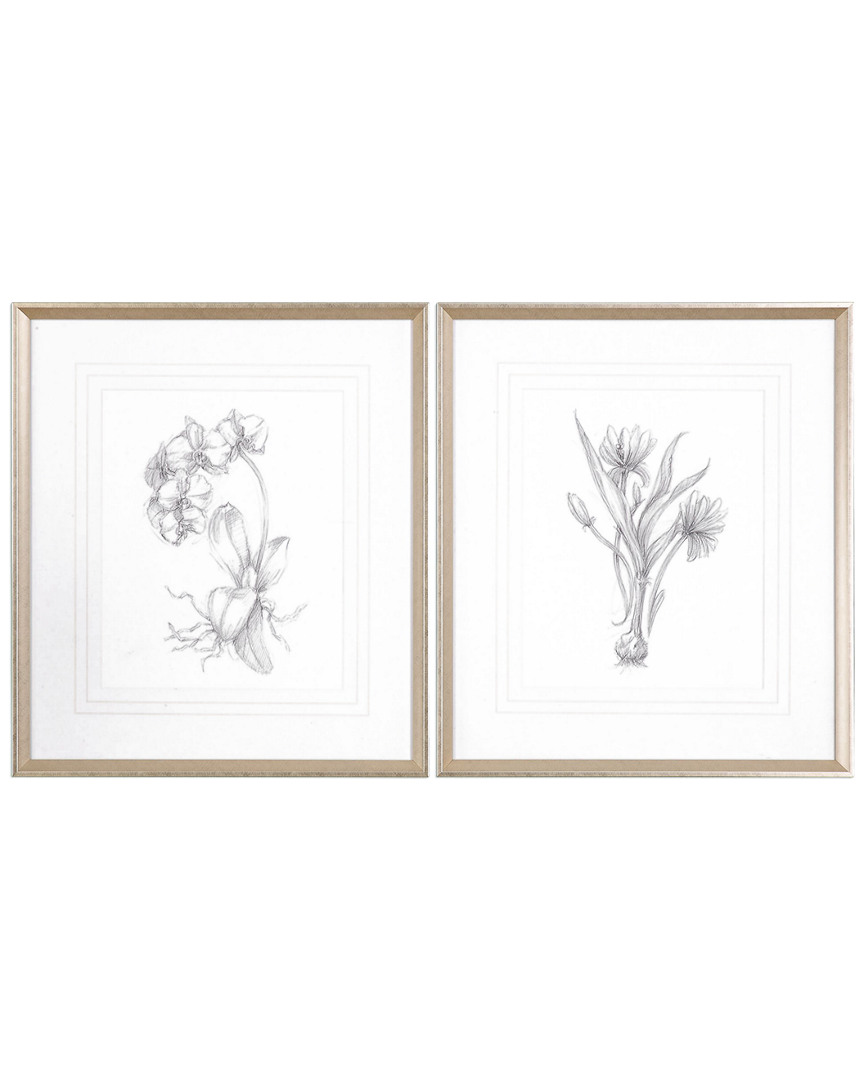Shop Uttermost Set Of 2 Botanical Sketches Framed Prints