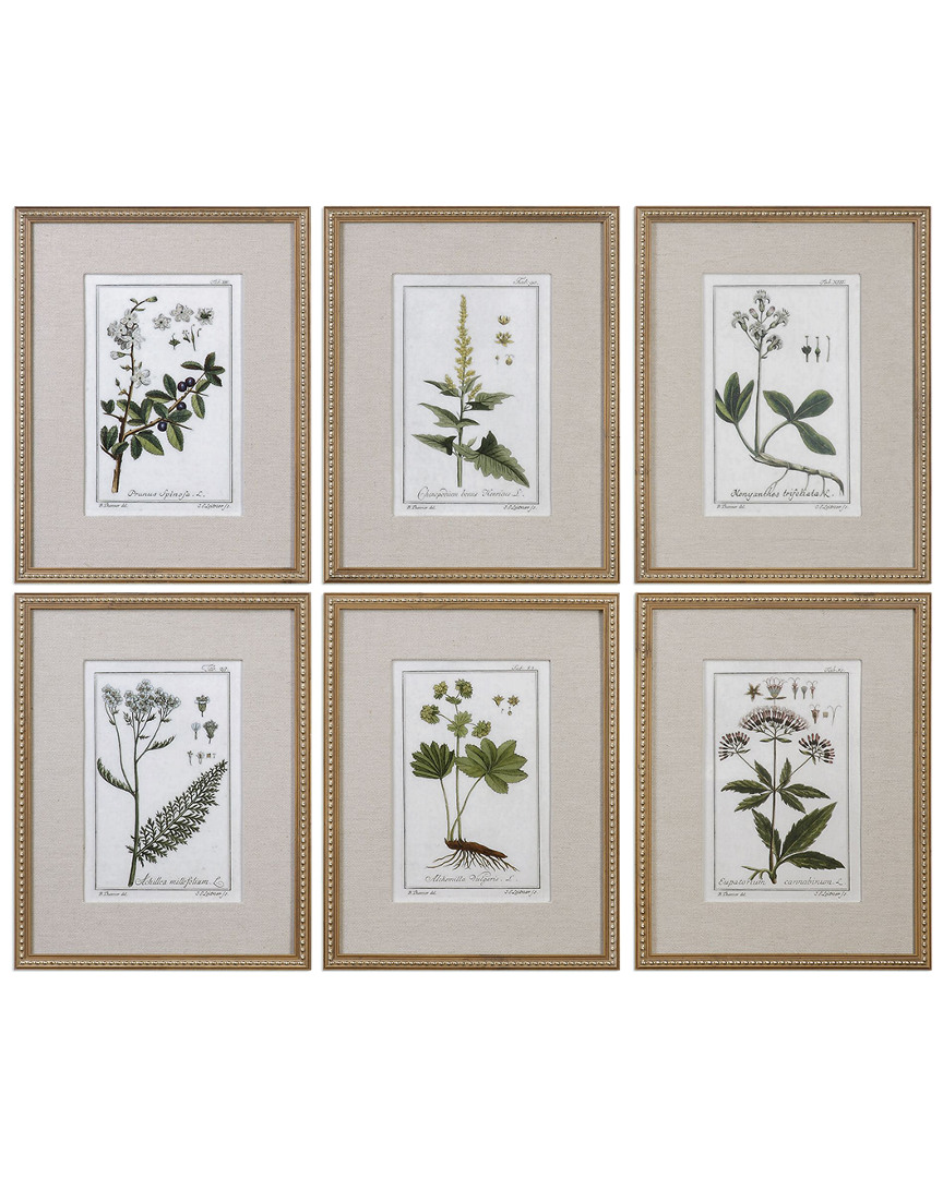 Uttermost Green Floral Botanical Study Prints