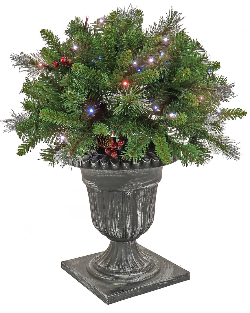 National Tree Company 24in Crestwood Spruce Porch Bush With Twinkly Lights In Green