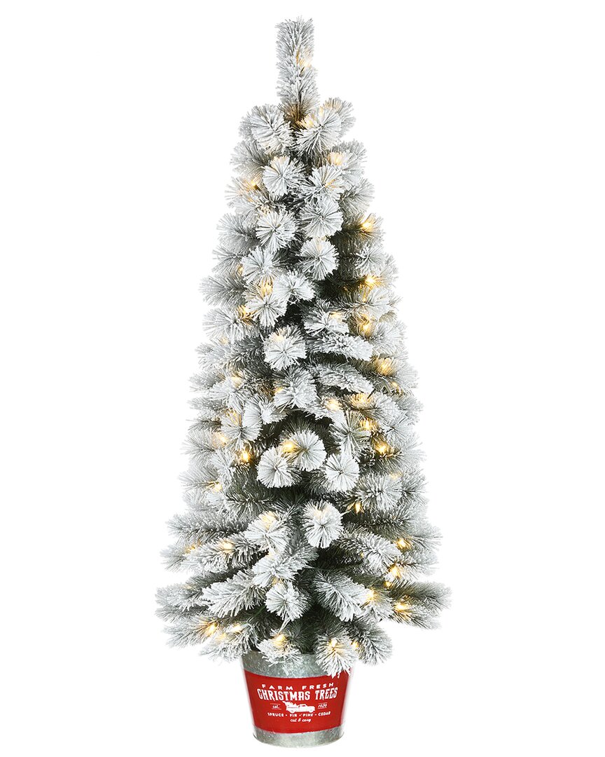National Tree Company 5ft Snowy Pogue Pine Entrance Tree With Led Lights In Green