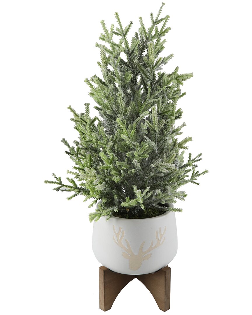 Flora Bunda 20in H Frosted Xmas Tree In 6in Staghead Ceramic On Wood Stand In White