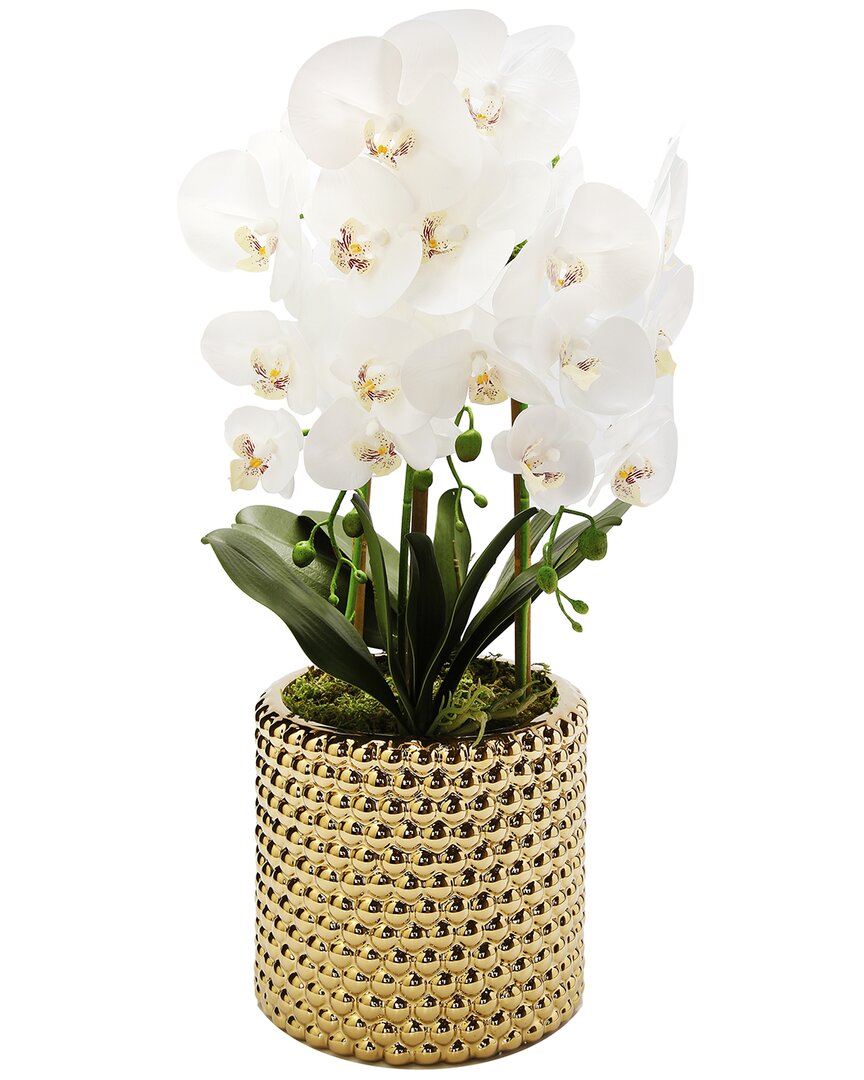 Vivience 3 Branched White Orchid Plant In Hammered Stainless Pot In Gold