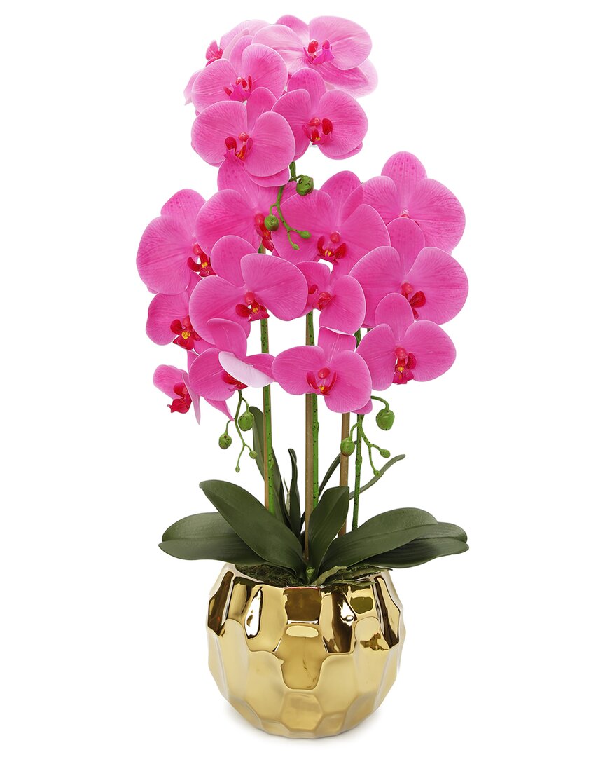 Shop Vivience Pink Orchid Plant In Flat Round Gold Hammered Pot