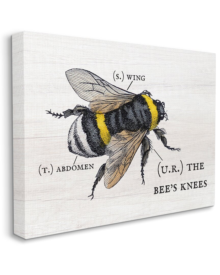 Stupell Industries Anatomy Of Honey Bee Pun Charming Bee's Knees Stretched Canvas Wall Art By Daphne In Off-white