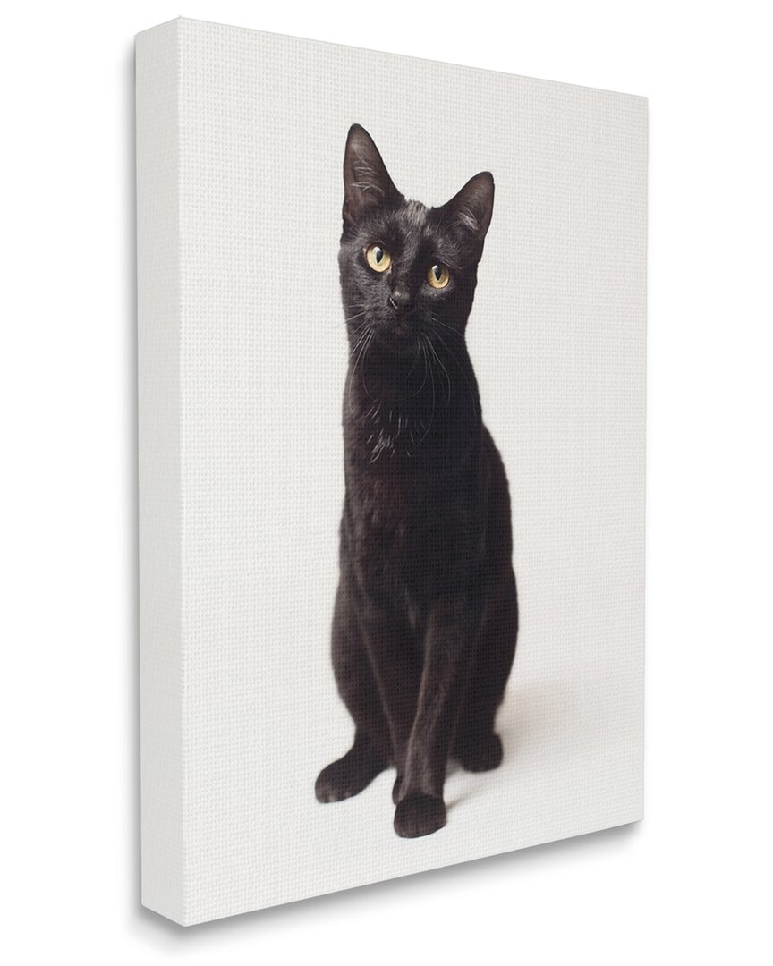 Stupell Industries Cute Black Cat Expressive Eyes Pet Portrait Stretched Canvas Wall Art By Marika Moffit In White