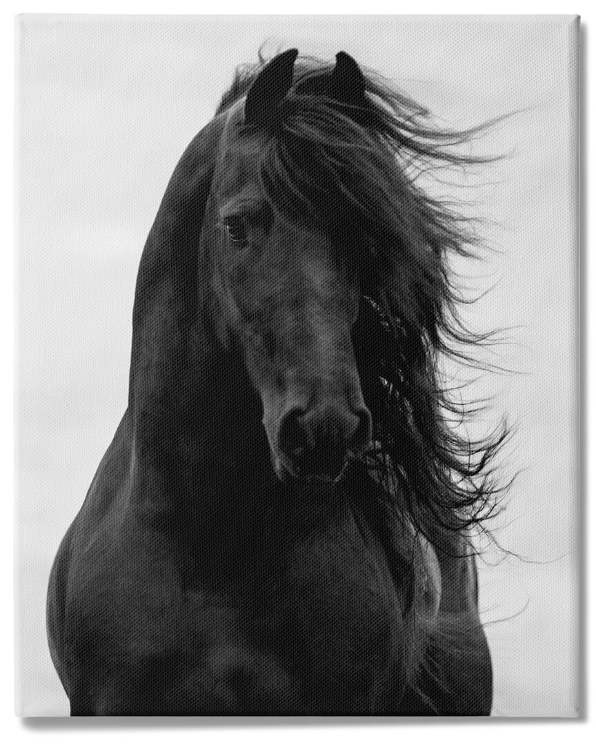 Stupell Industries Black Stallion Horse Portrait Soft Grey Sky Photography Stretched Canvas Wall Art By Caro In Black