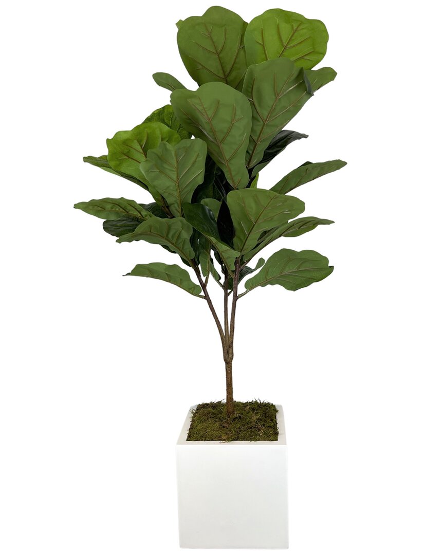 Creative Displays Fiddle Leaf Tree In A White Square Fiberstone Planter In Green