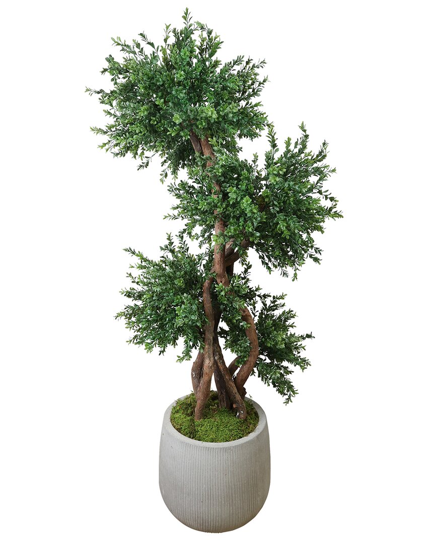 Creative Displays Boxwood Tree In Fiberstone Pot In Green