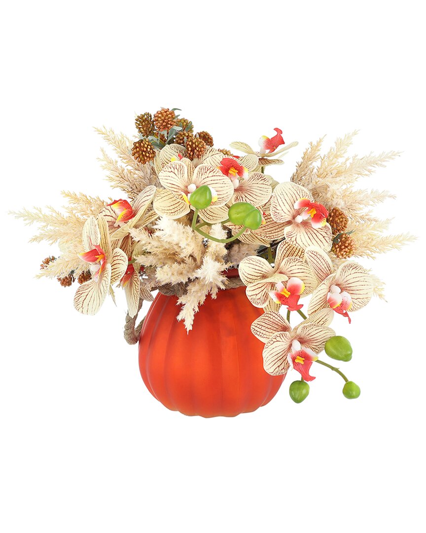 CREATIVE DISPLAYS CREATIVE DISPLAYS MODERN FALL ARRANGEMENT WITH CREAM ORCHIDS & PAMPAS IN  PUMPKIN VASE 