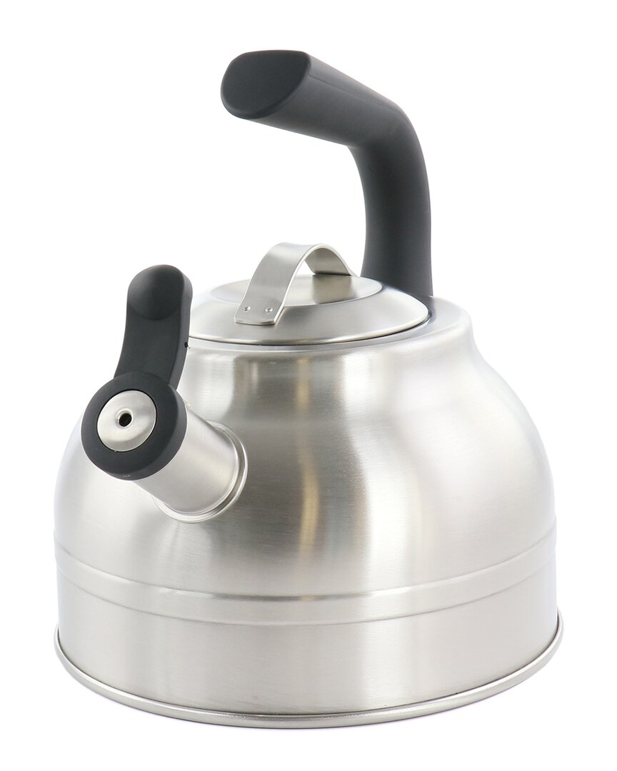 Shop Kenmore 2.3qt Stainless Steel Whistling Tea Kettle